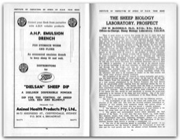 1956 Page 40 41
